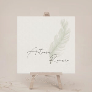Marcasitio boda. Pluma